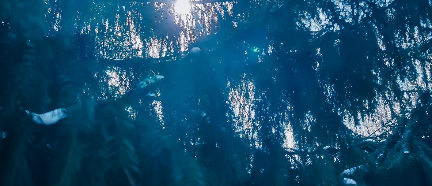 Перелистнув «Таёжный календарь»